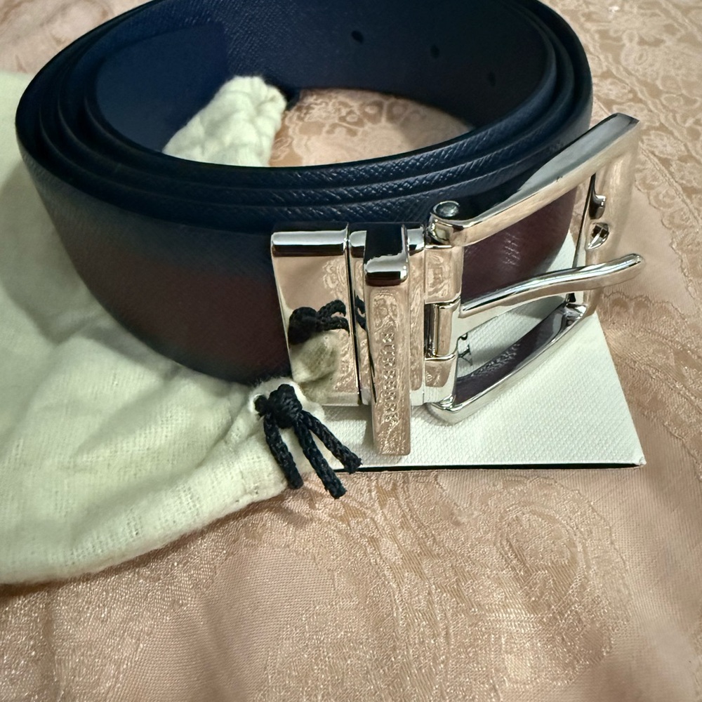 Burberry Blue and Brown Leather Shoulder Bag with Silver Hardware - Picture 2 of 13